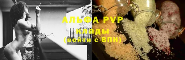 PSILOCYBIN Гусев