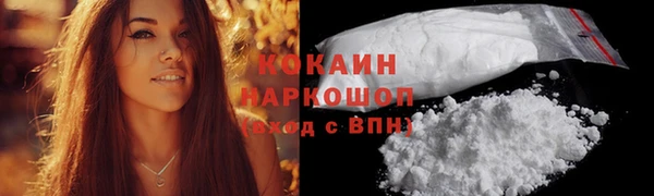 PSILOCYBIN Гусев