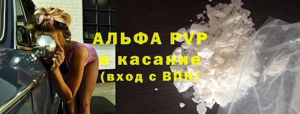 PSILOCYBIN Гусев