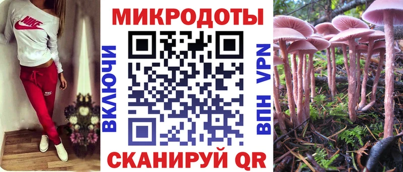 Галлюциногенные грибы MAGIC MUSHROOMS  Вологда 