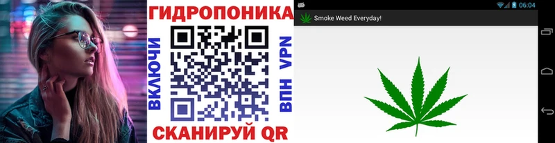 Каннабис LSD WEED  купить наркоту  Вологда 